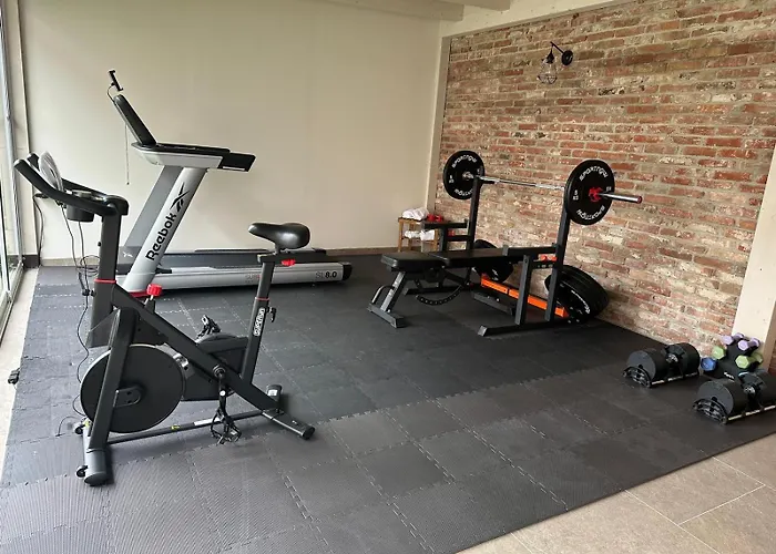 מלון Demetrio Ars 3*